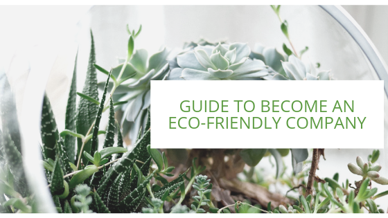 Eco-friendly-1