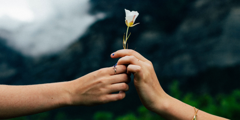 flower-and-hand