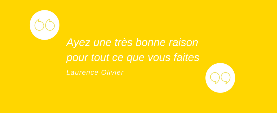 FR - raison de l'annulation